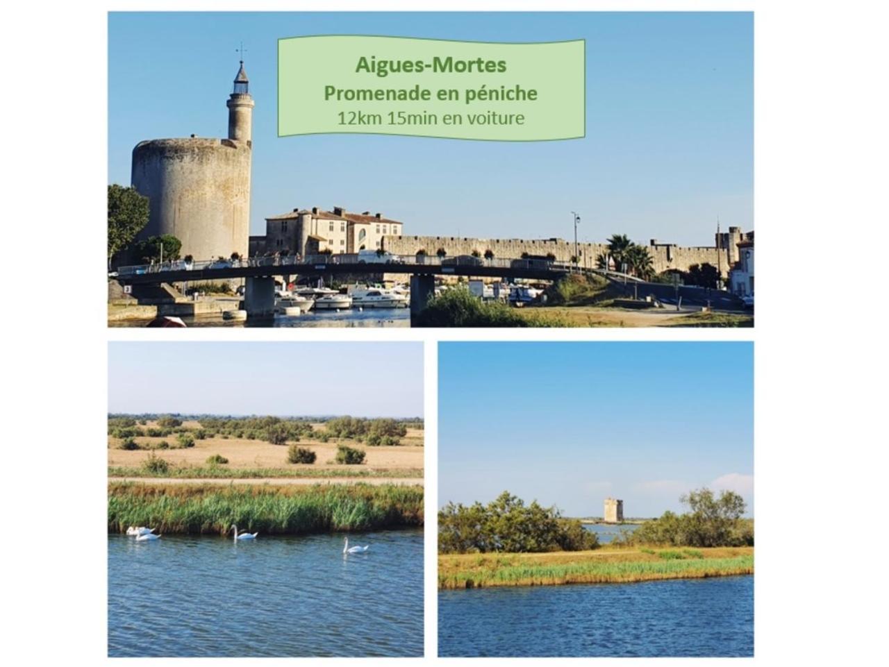 T2 Traversant Familial Cap Sud Parking Plages - Rossiconciergerie - Linge En Option La Grande-Motte Exterior photo